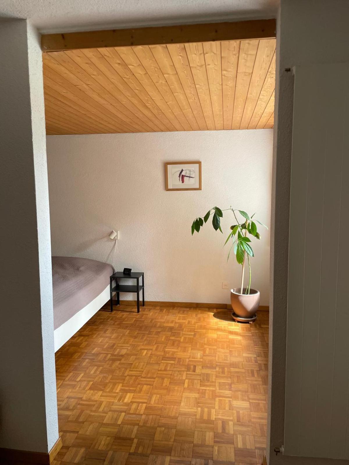 2.5 Zimmerwohnung, Pinut Trin 外观 照片